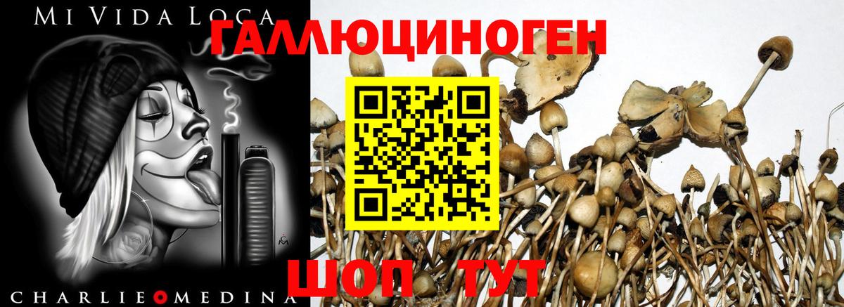 Псилоцибиновые грибы Magic Shrooms  Вход с VPN  Арзамас 